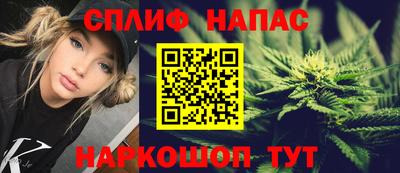 дмт Дубна