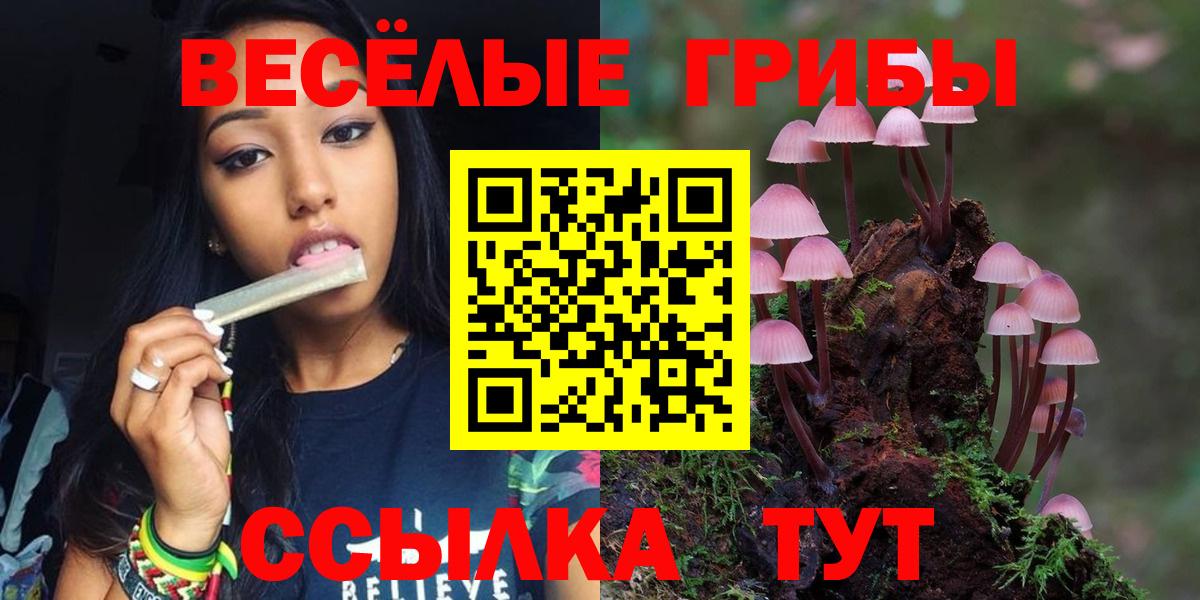 Псилоцибиновые грибы Cubensis  Вход с VPN  Псилоцибиновые грибы мицелий  Курчатов 
