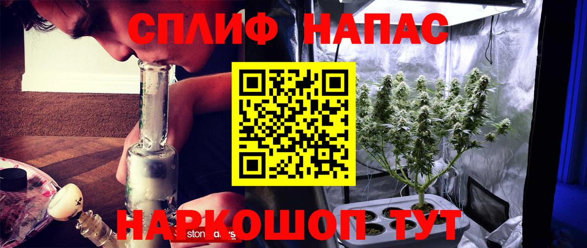 Бошки марихуана MAZAR  Марихуана MAZAR  Конопля план  Вход с VPN  Курчатов  Канабис марихуана 